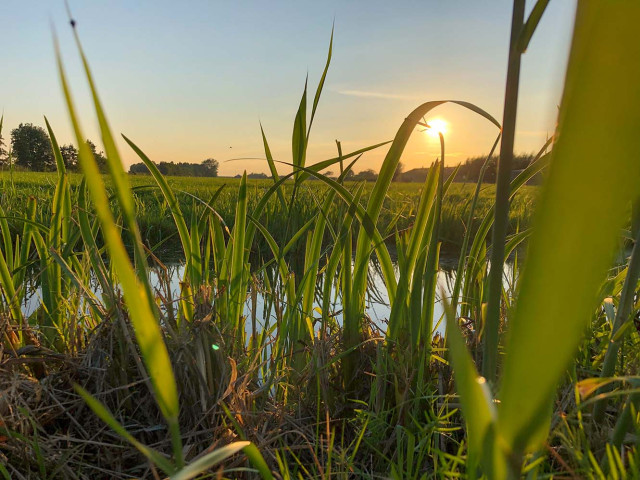 Ons Landschap Lopikerwaarden