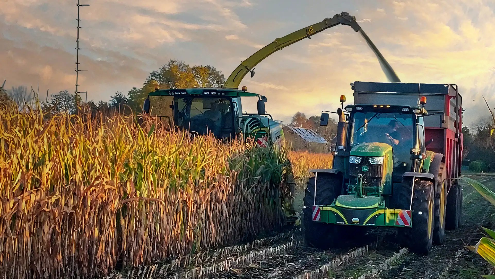 Mais Lopikerwaarden alg