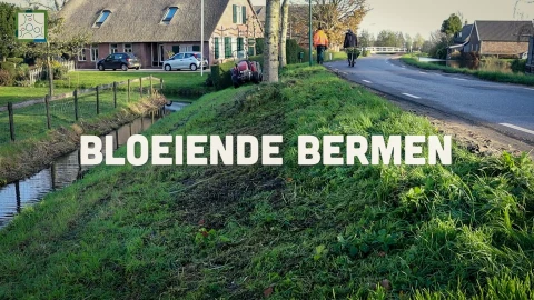 Thumbnail Bloeiende Bermen